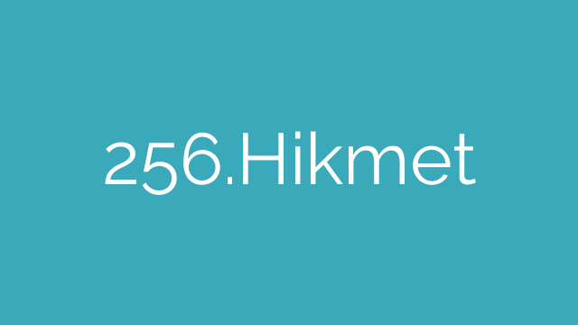 256.Hikmet