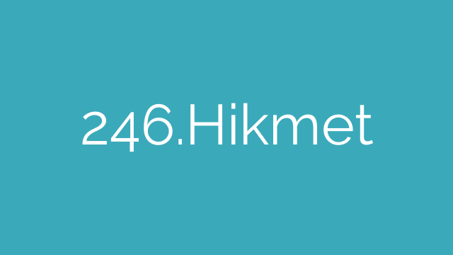 246.Hikmet